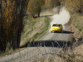 Robin, Ruanui Road 08